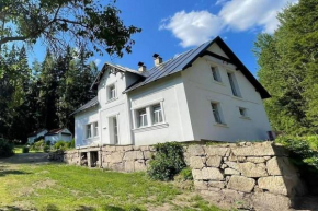Vila 100klasa, Nejdek